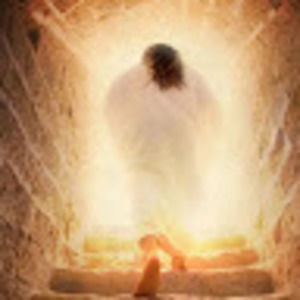 Meet your Posher, Mini